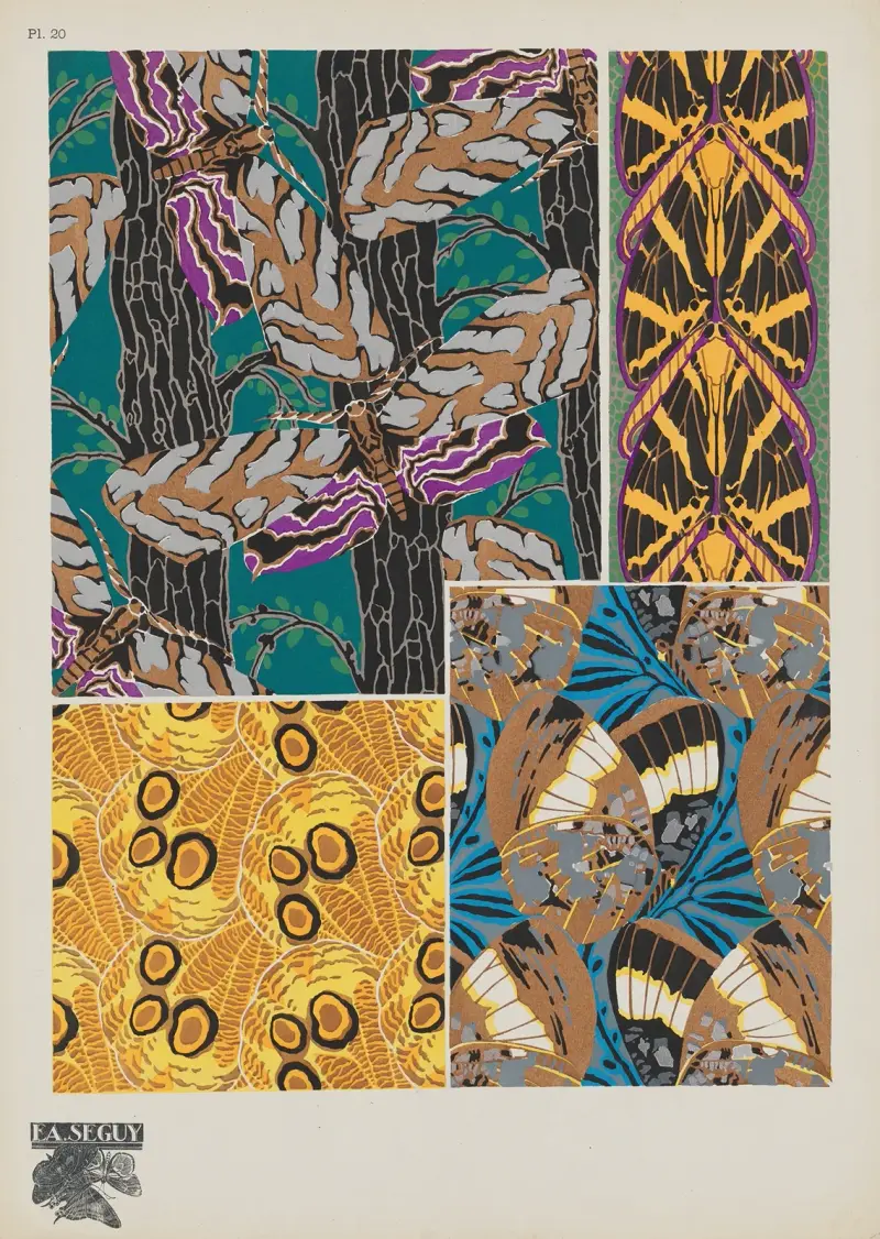 Papillons Pl. 20 von Emile-Allain Séguy