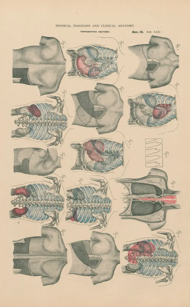Boundaries of sound, in percussion and auscultation av Jean Allard Jeancon