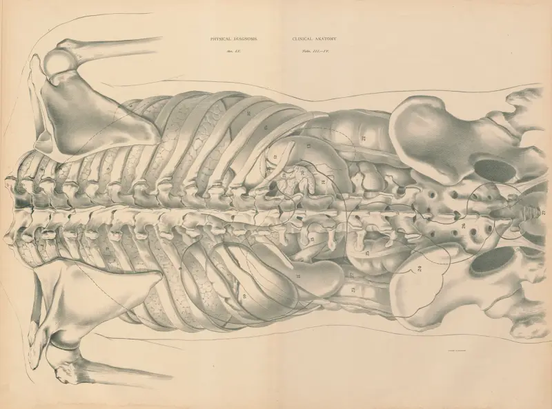 Fysisk diagnostik och klinisk anatomi, 1888 – nr 2 av Jean Allard Jeancon
