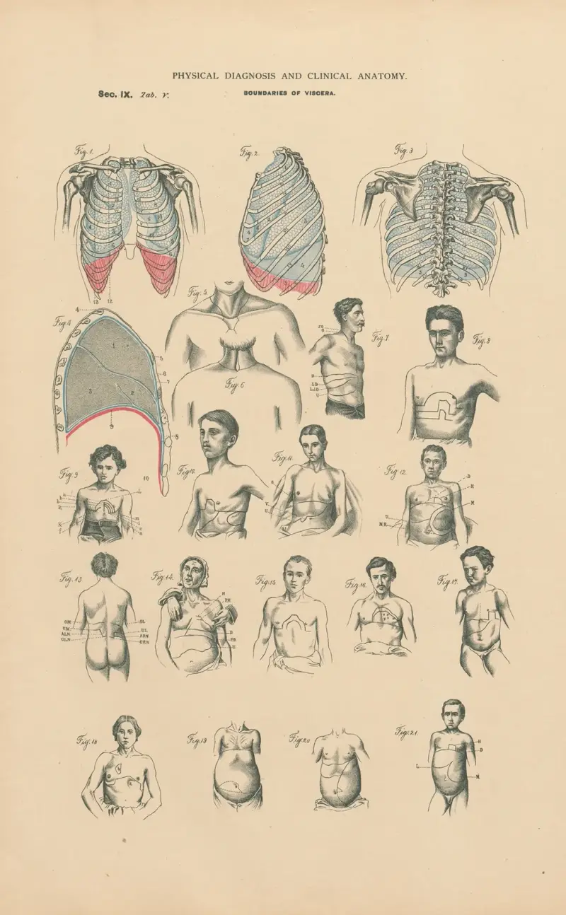 Physical diagnosis. Boundaries of sounds av Jean Allard Jeancon