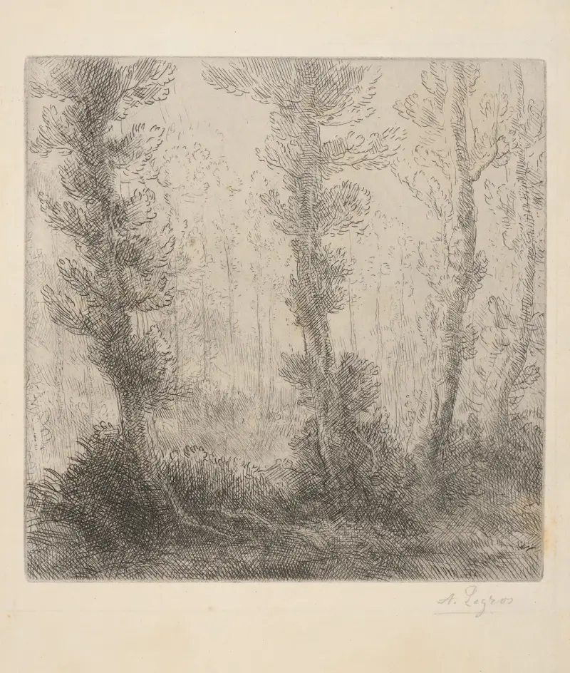 Landschaft mit Bäumen von Alphonse Legros