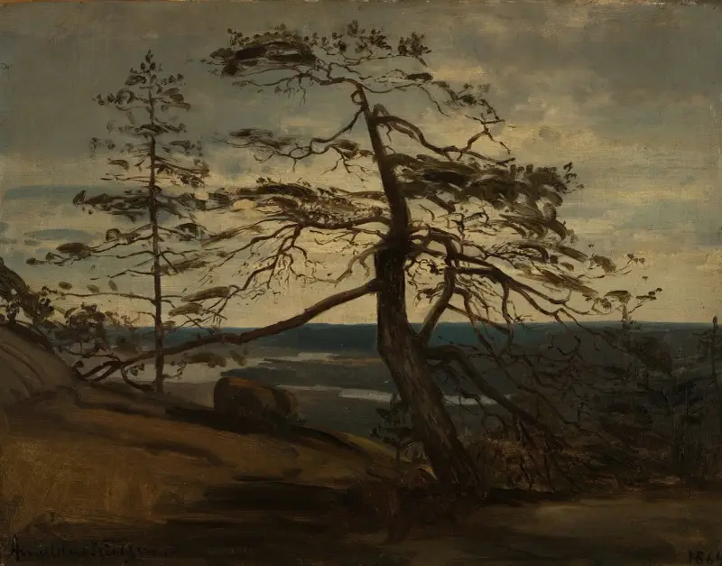 Horská borovice, Setesdal, Amaldus Nielsen