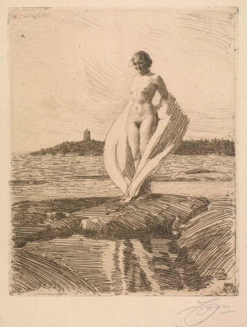 Svanen av Anders Zorn