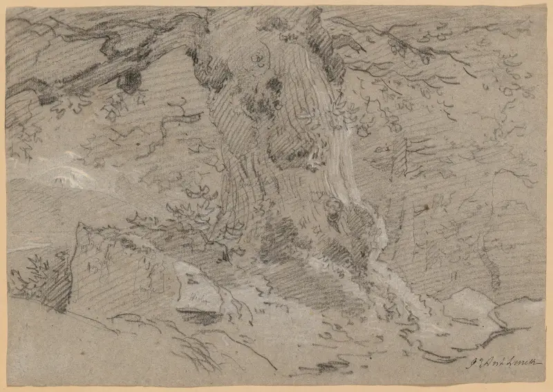 Study of Old Tree Trunk av Jean-Antoine Linck