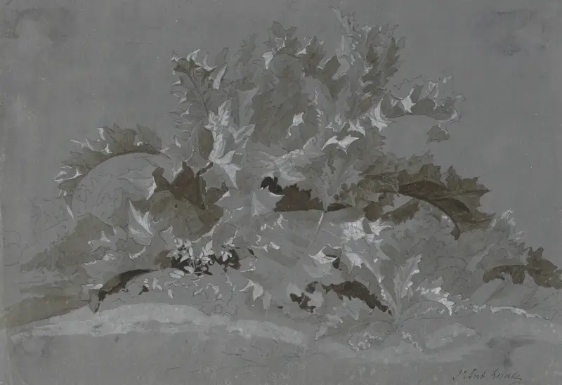 Studie von Unkraut von Jean-Antoine Linck