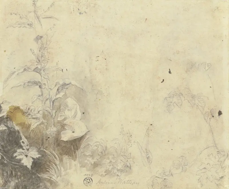 Plants av Jean-Antoine Watteau