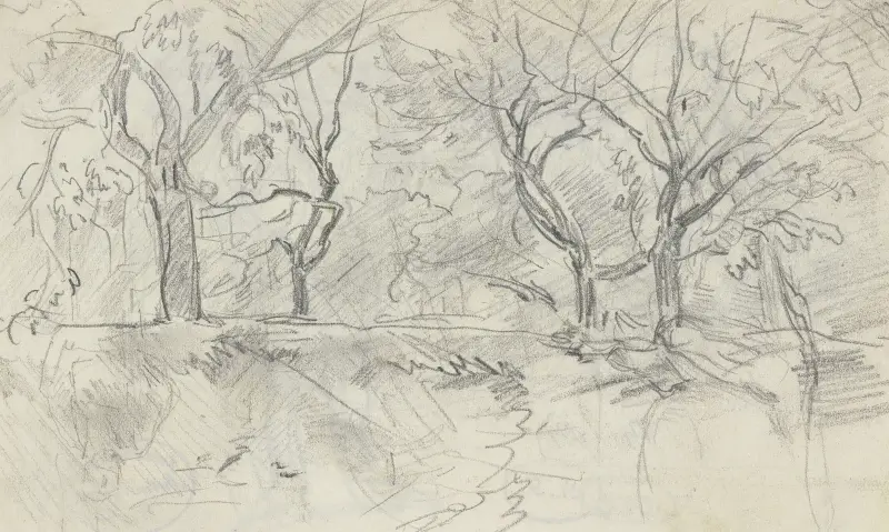 Forest section av Anton Burger