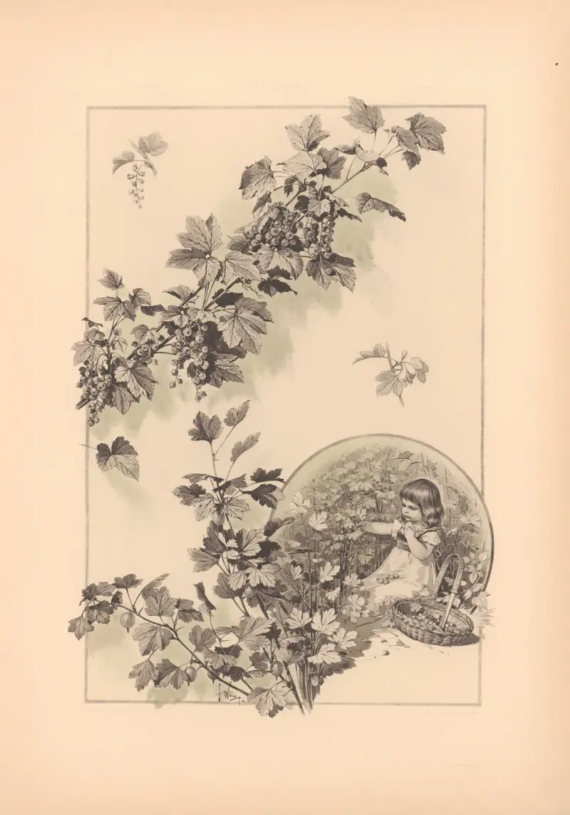 Die Pflanze in Kunst und Gewerbe (The Plant in Art and Industry) Pl.131 av Anton Seder