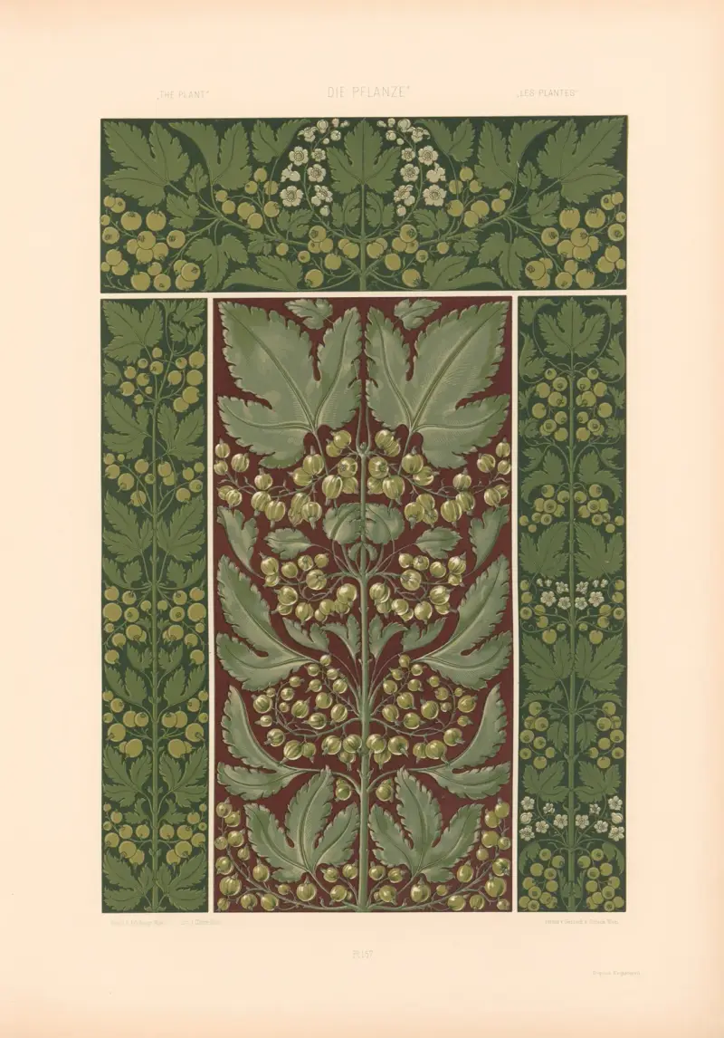 Die Pflanze in Kunst und Gewerbe (The Plant in Art and Industry) Pl.134 av Anton Seder