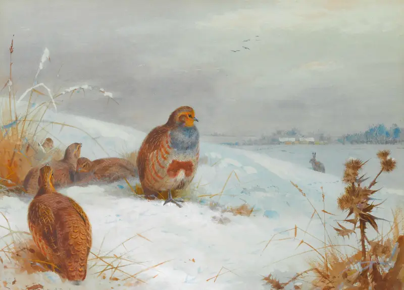 Harte Zeiten – Rebhühner und ein Hase von Archibald Thorburn