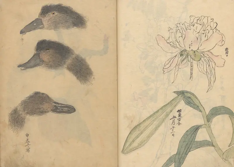 Skizzenbuch Pl.014 von Ariyoshi Kondo