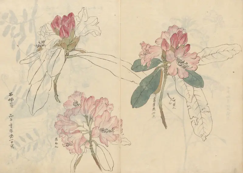 Sketchbook Pl.024 av Ariyoshi Kondo