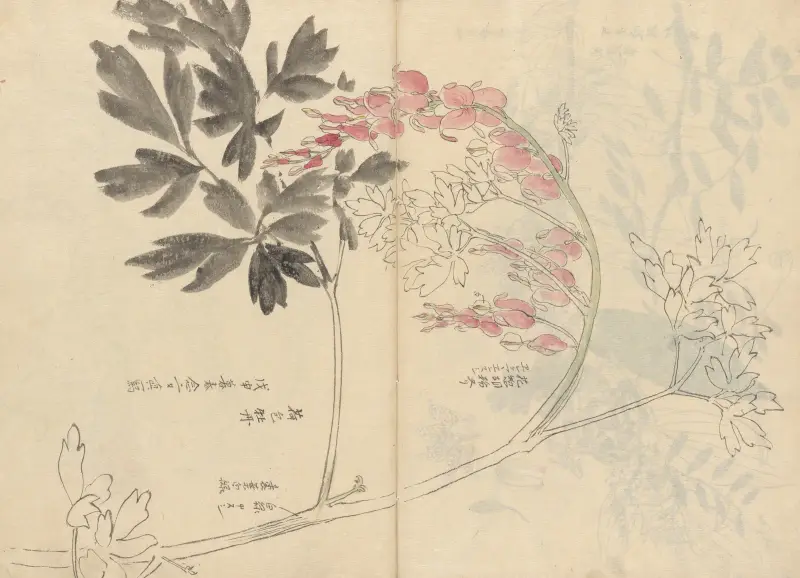 Sketchbook Pl.028 av Ariyoshi Kondo