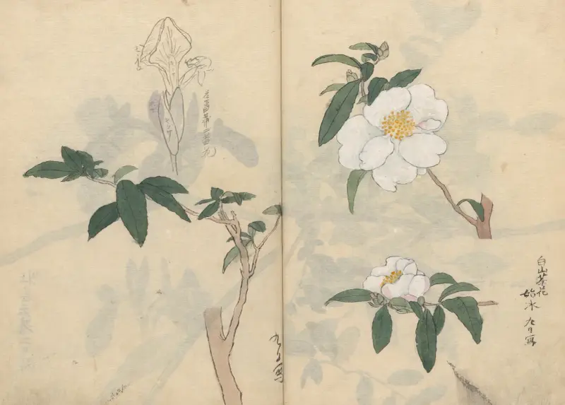 Sketchbook Pl.030 av Ariyoshi Kondo