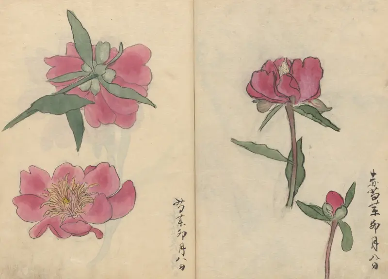 Skizzenbuch Pl. 032 von Ariyoshi Kondo
