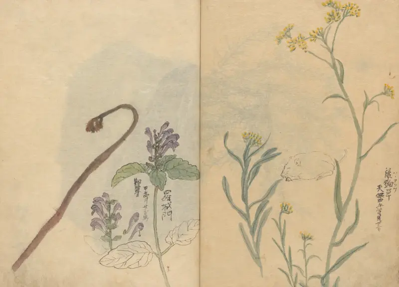 Sketchbook Pl.033 av Ariyoshi Kondo