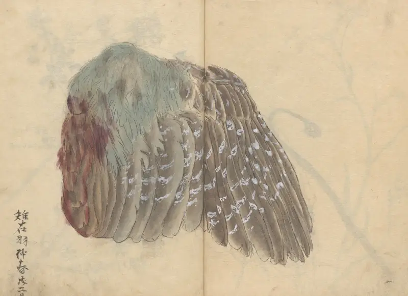 Skizzenbuch Taf. 039 von Ariyoshi Kondo