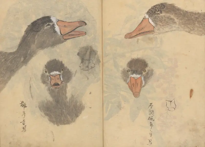 Sketchbook Pl.041 av Ariyoshi Kondo