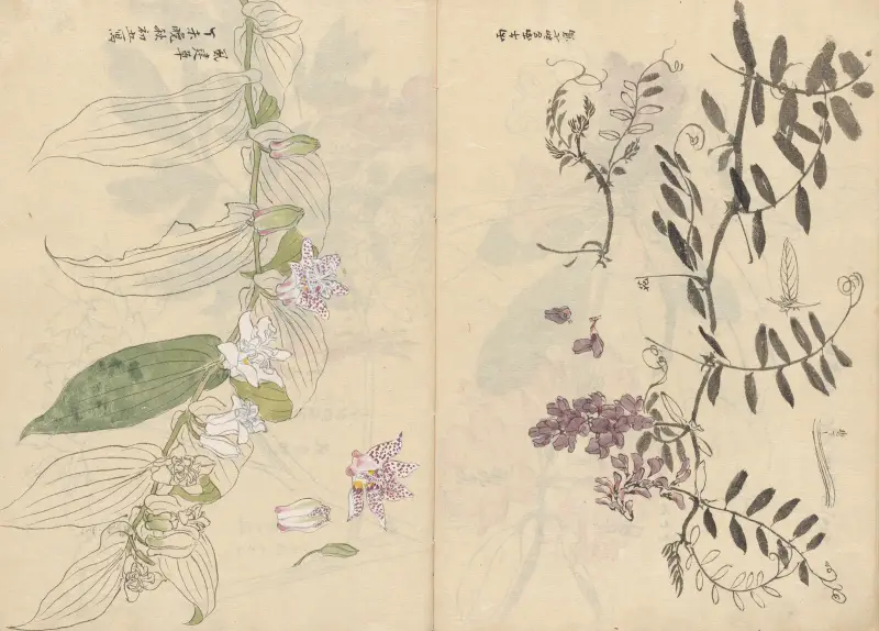 Sketchbook Pl.072 av Ariyoshi Kondo