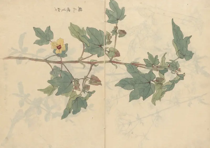Sketchbook Pl.075 av Ariyoshi Kondo