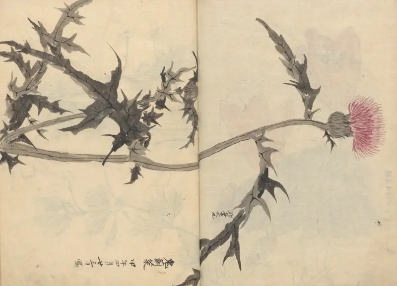 Skicář, list 083, Ariyoshi Kondo