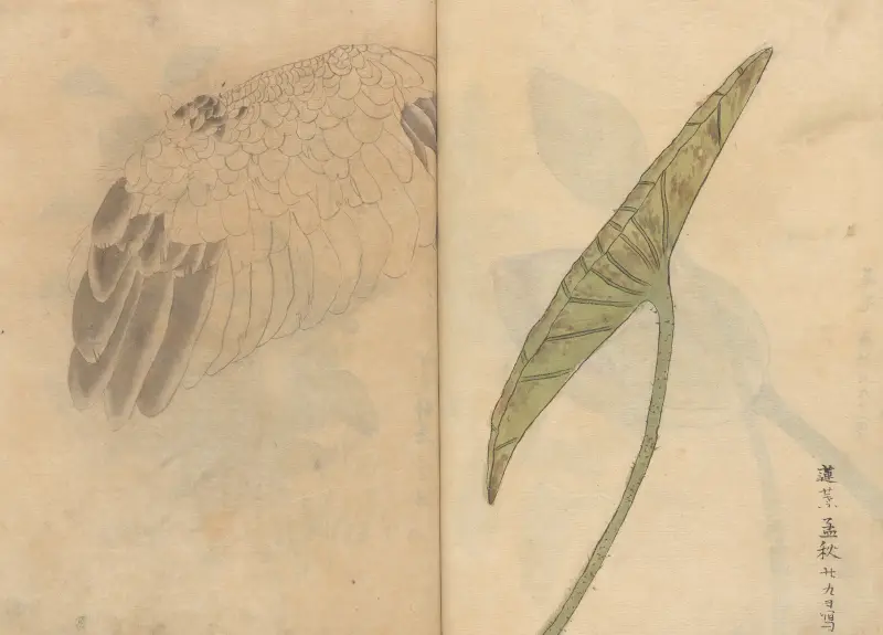 Skizzenbuch Taf. 084 von Ariyoshi Kondo