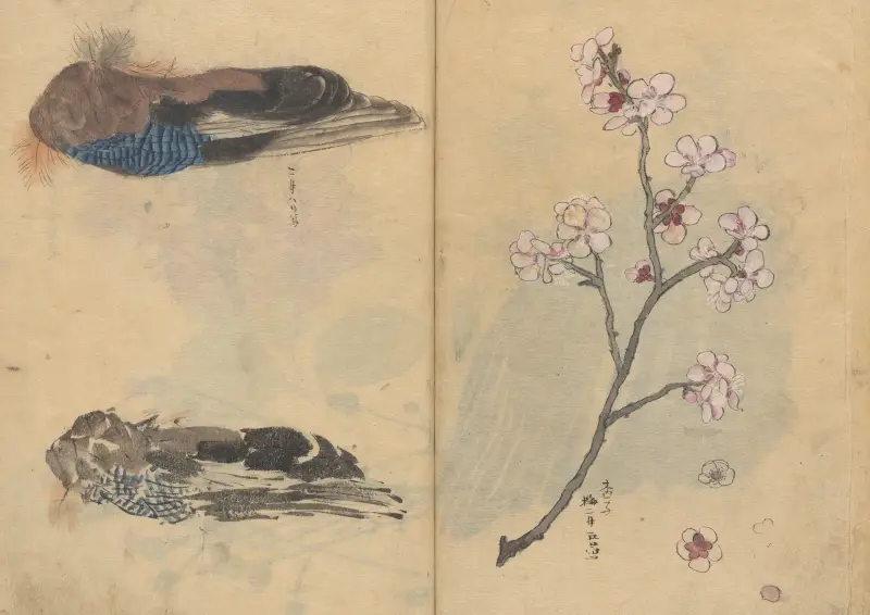 Sketchbook Pl.086 av Ariyoshi Kondo