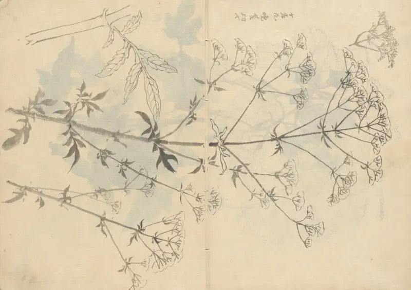 Sketchbook Pl.087 av Ariyoshi Kondo
