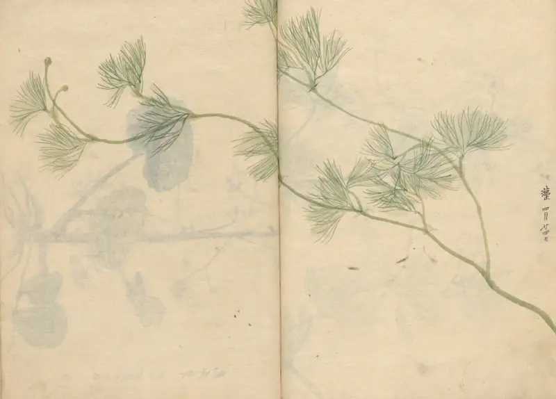 Skizzenbuch Pl. 89 von Ariyoshi Kondo