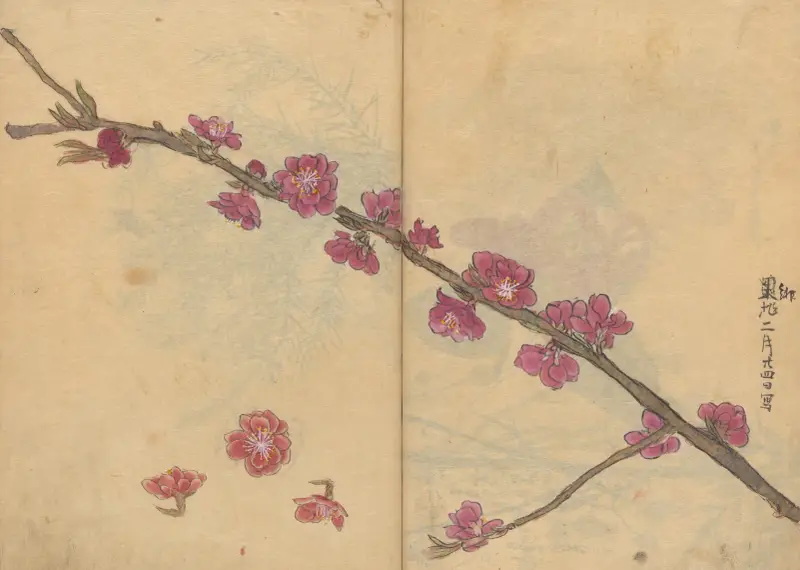 Sketchbook Pl.091 av Ariyoshi Kondo