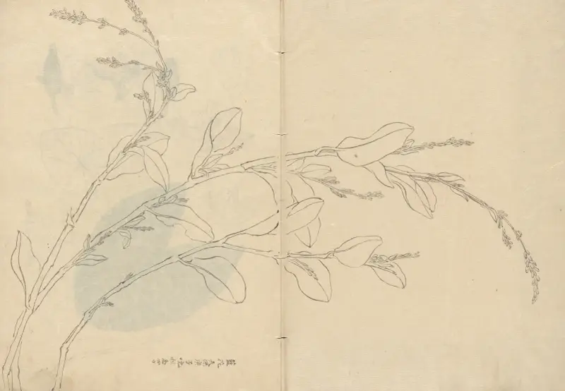 Sketchbook Pl.093 av Ariyoshi Kondo