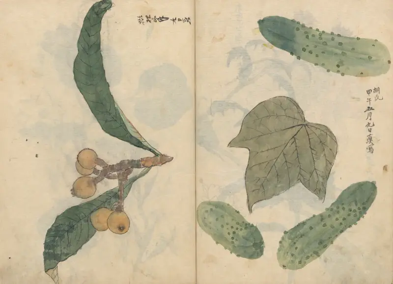 Skizzenbuch Pl. 101 von Ariyoshi Kondo