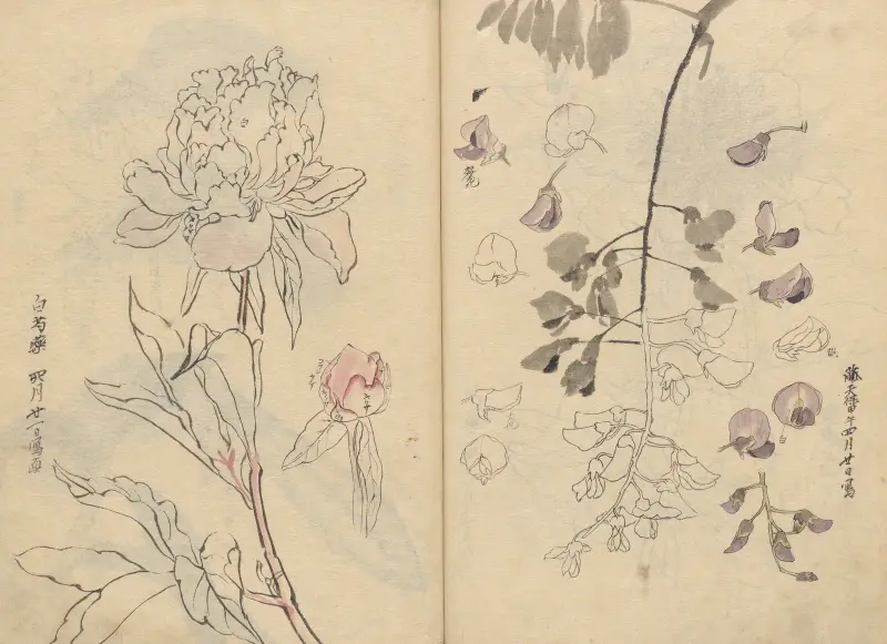 Skizzenbuch Taf. 110 von Ariyoshi Kondo