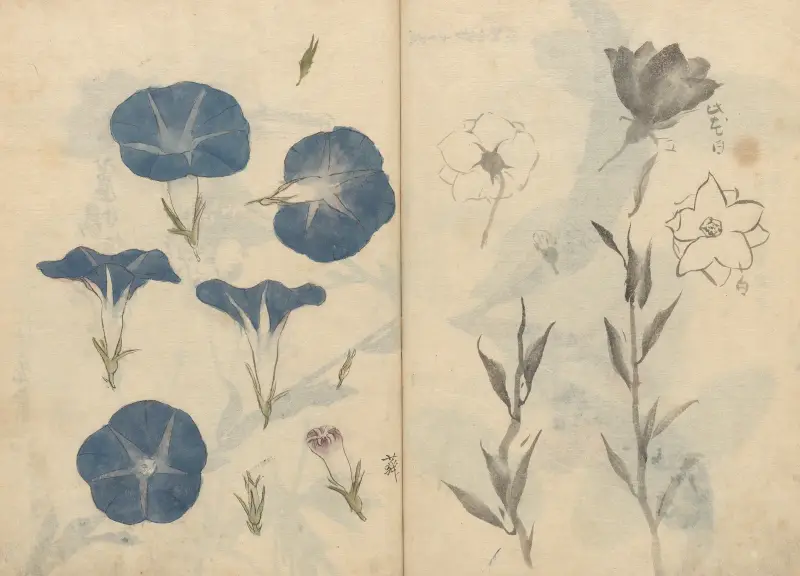 Sketchbook Pl.112 av Ariyoshi Kondo