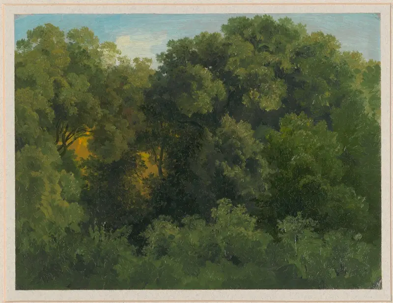 Inside a forest av Arthur Blaschnik