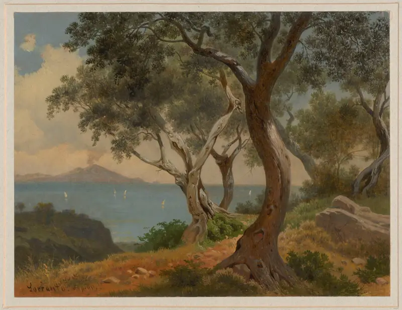 View of Vesuvius from Sorrento av Arthur Blaschnik
