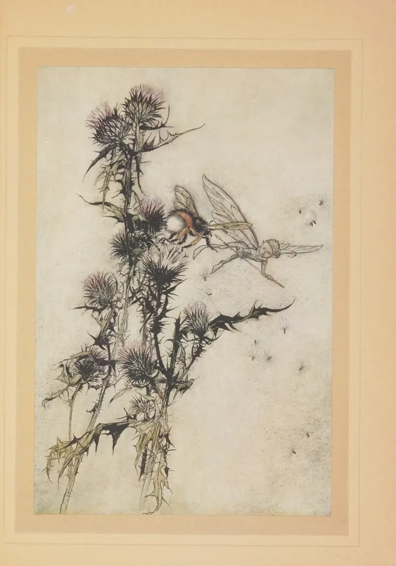 Allez me tuer un bourdon à cuisse rouge sur la pointe d’un chardon av Arthur Rackham