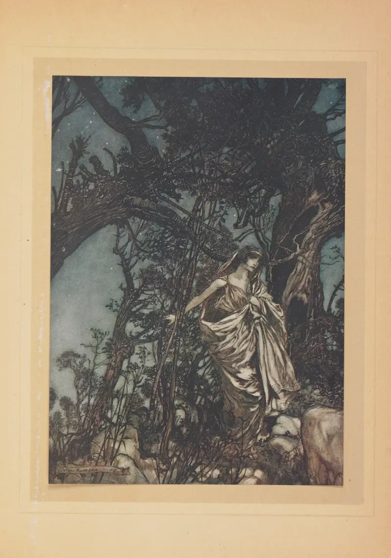 Jamais je ne fus si lasse, jamais si malheureuse av Arthur Rackham