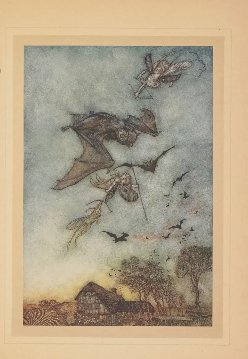 Die anderen werden Krieg gegen die Fledermäuse führen und ihnen das Leder von ihren Flügeln nehmen von Arthur Rackham
