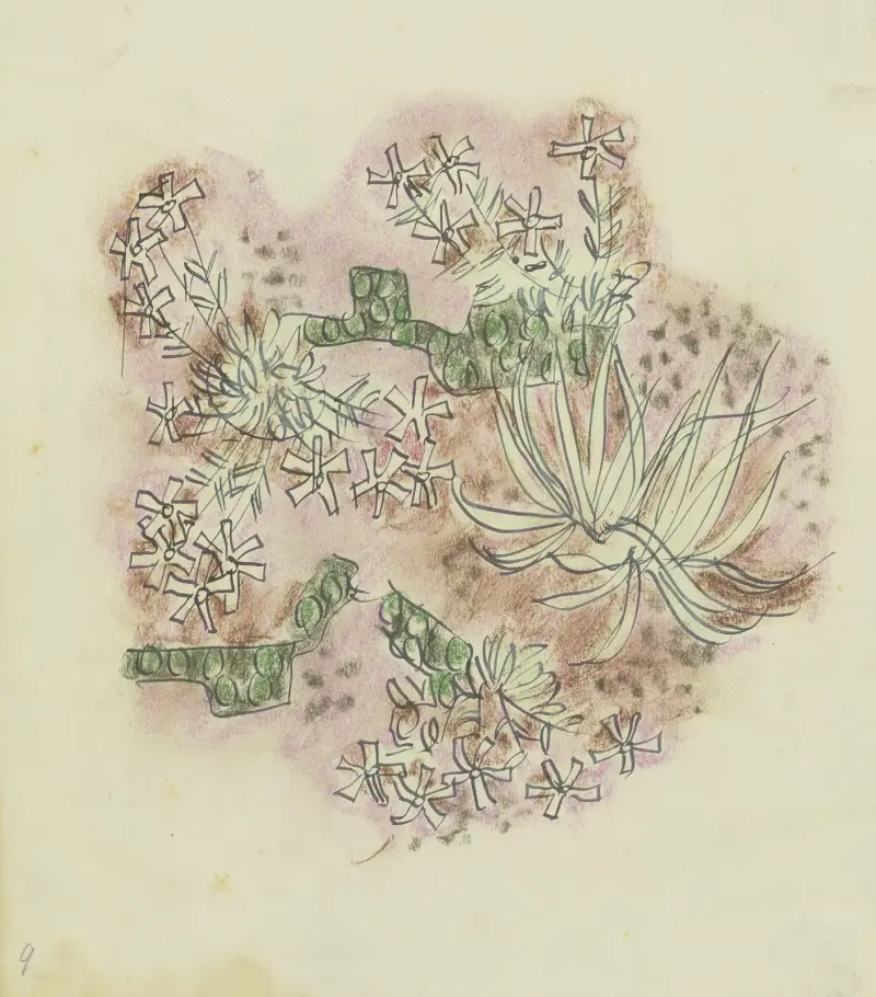 Study of plants 3 av August Babberger