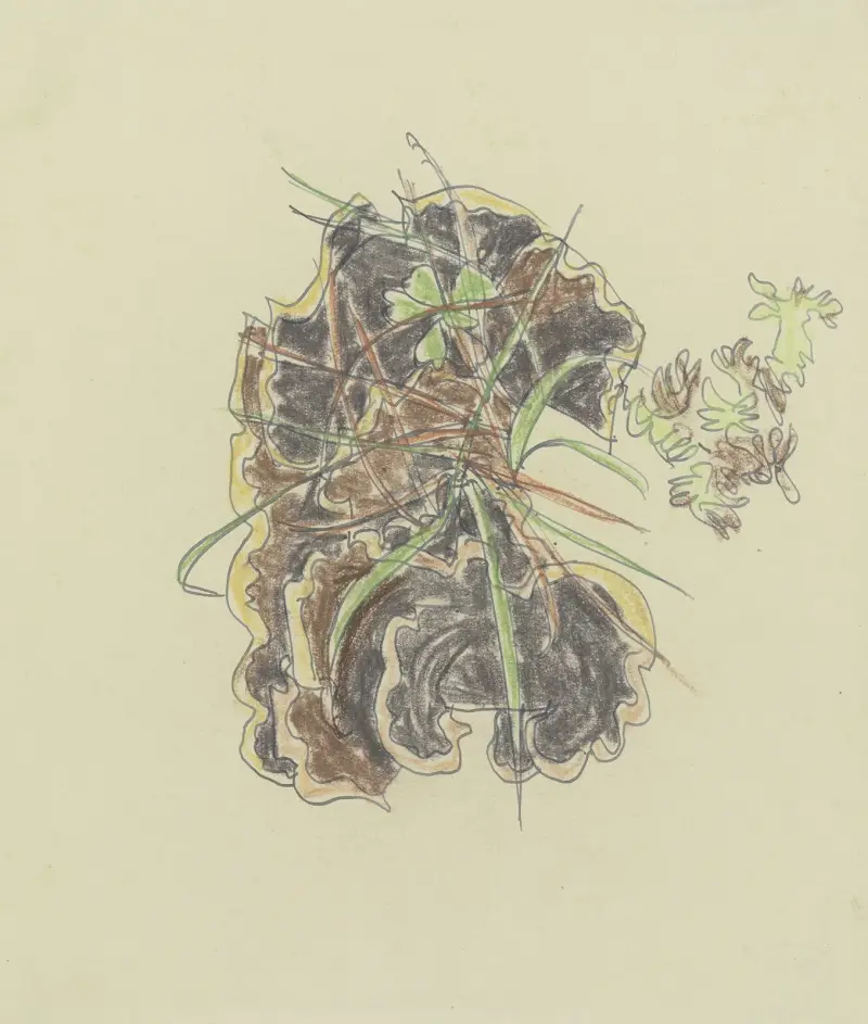 Study of plants av August Babberger