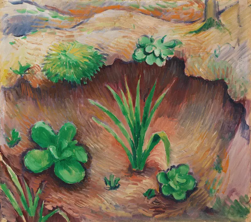 Pflänzchen im Wald av August Macke