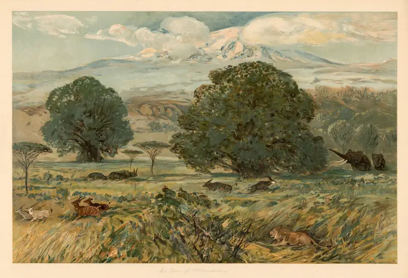 At the foot of Kilimanjaro av August Specht