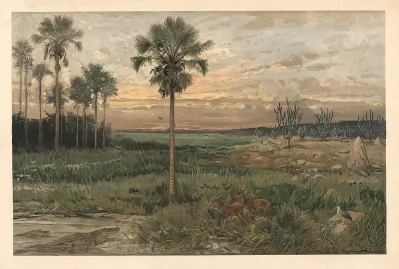 Von Llanos von August Specht