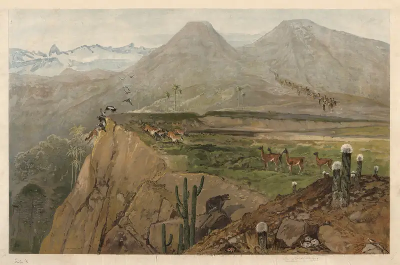 Aus den Kordilleren von August Specht