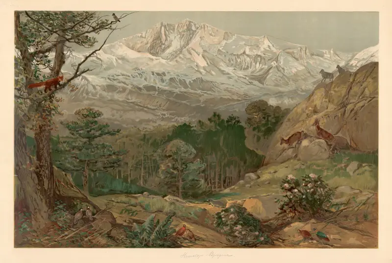 Himalaje, August Specht
