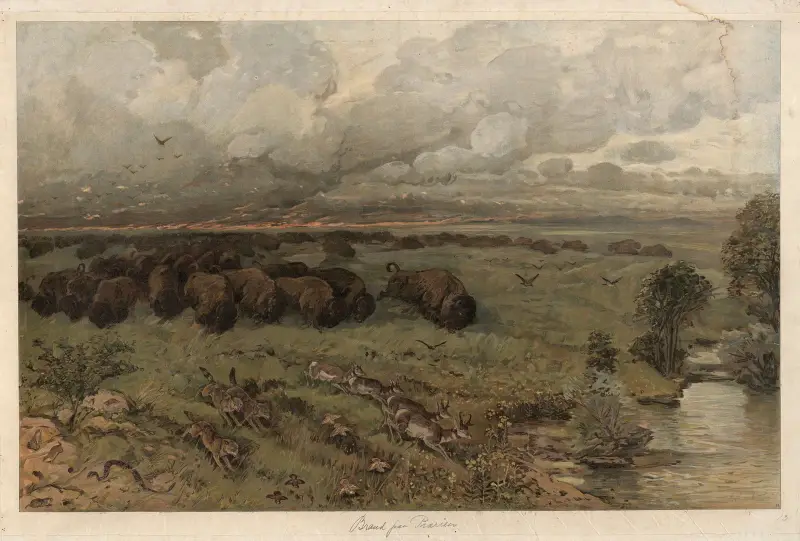 Prairie fire av August Specht