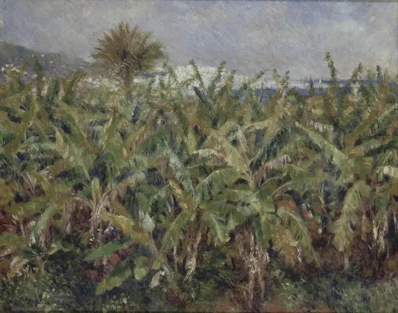 Bananträdsfält av Pierre-Auguste Renoir
