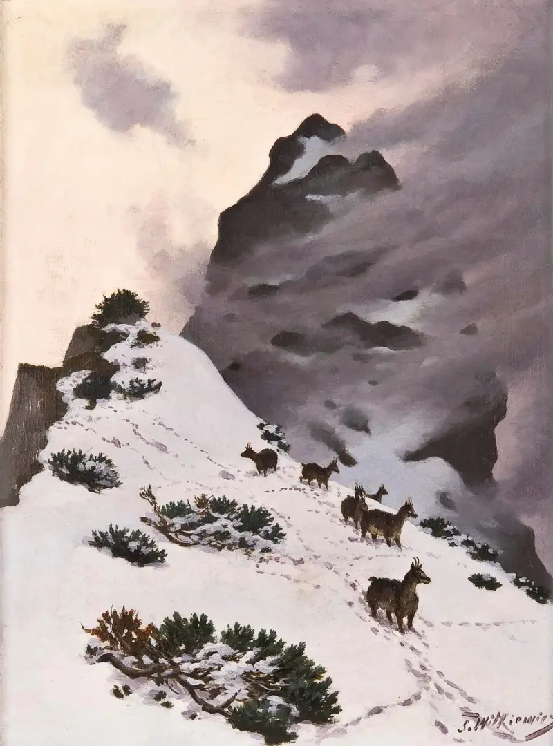Kamzíci v horách, Stanisław Witkiewicz