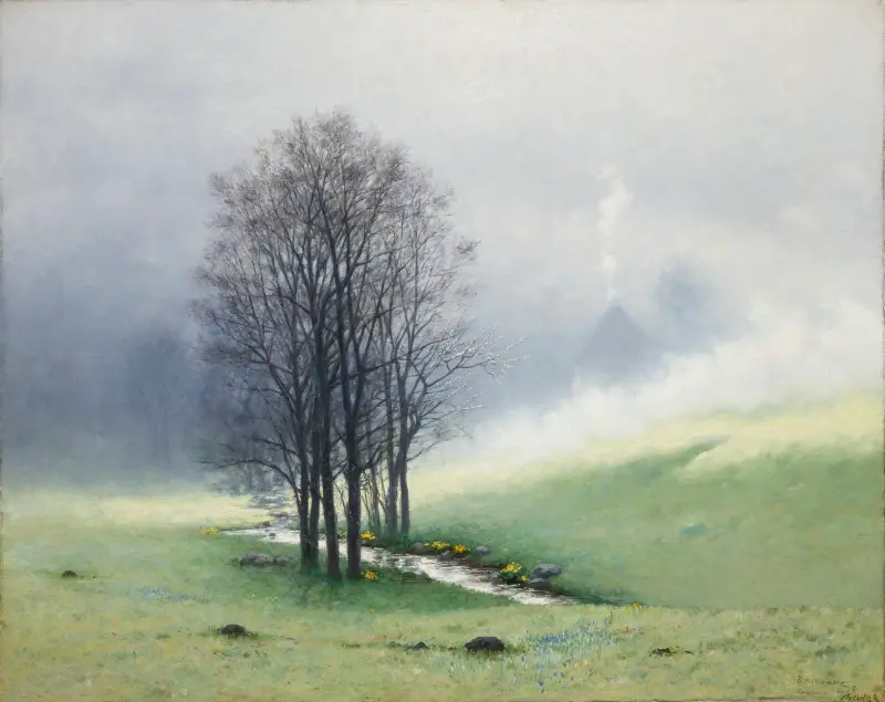 Frühlingsnebel von Stanisław Witkiewicz